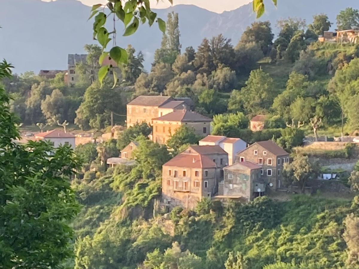 Apartmán Casa Lili Castello-di-Rostino Exteriér fotografie